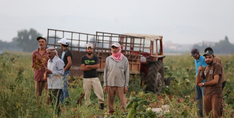 Food Security and Agriculture